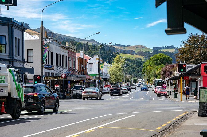 Explore Dunedin: Self-Guided Audio Tour Adventure - Who Will Love This Tour?