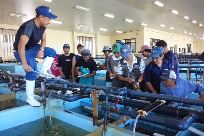 Explore Fishermen Island in Japan(Ise-Shima) - FAQs