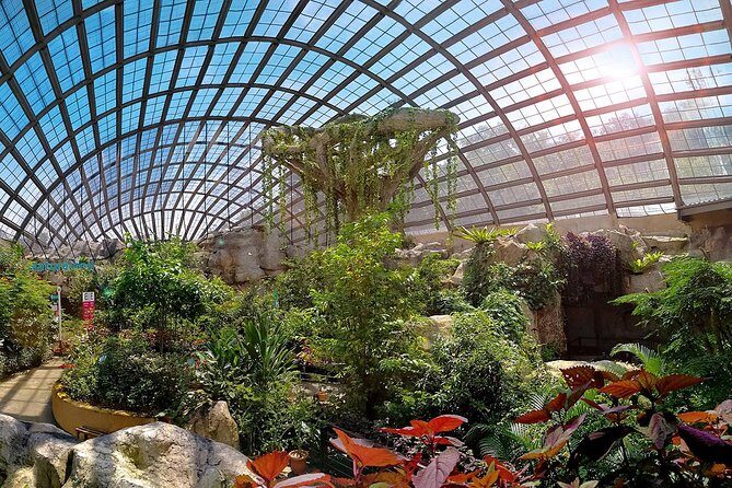 Explore Georgetown City Tour with Entopia Penang Butterfly Farm - The Sum Up