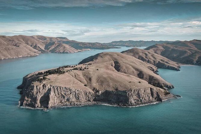 Explore Godley Head, Lyttelton & Christchurch (Small Group Tour) - The Value of This Tour