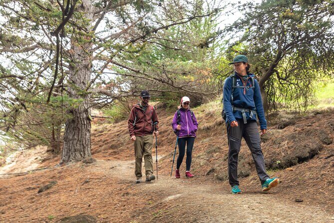 Explore Godley Head, Lyttelton & Christchurch (Small Group Tour) - The Sum Up: The Best of Coastal Christchurch