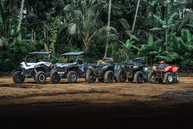 Explore Gorilla Cave by ATV in Ubud - Monkey Forest and Waterfall - The Itinerary: A Closer Look