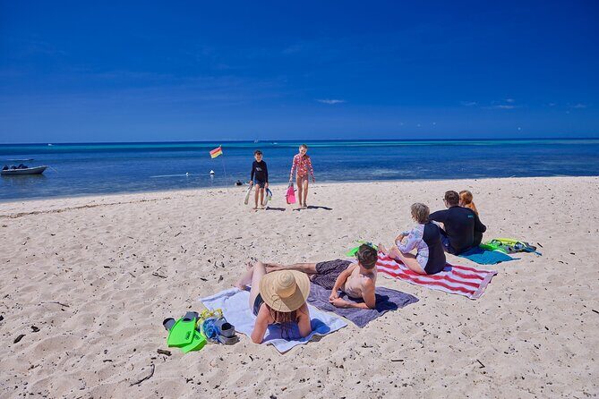 Explore Green Island with Diving options from Cairns - An In-Depth Look at the Green Island Experience