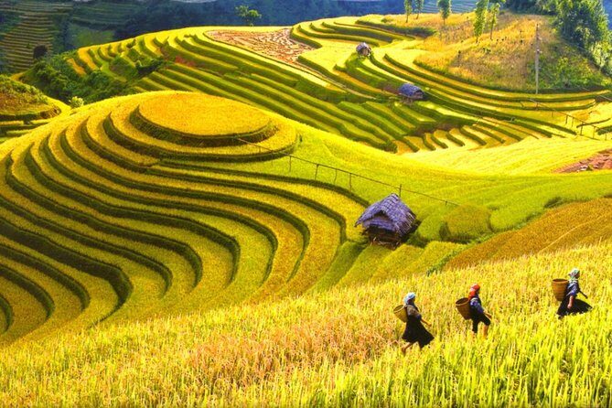 Explore Hanoi Halong Sapa 5 days package - Overview of the Explore Hanoi Halong Sapa 5 Days Package