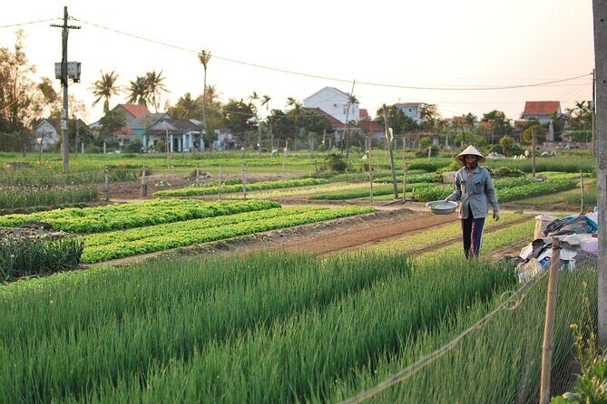 Explore Hoi An city or Da nang city with local guide - Final Thoughts: Is This Tour Right for You?