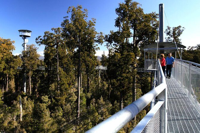 Explore Hokitika Gorge and Tree Top Walkway - A Closer Look at the Tour Itinerary