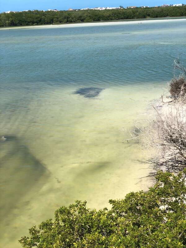 Explore Holbox Island VIP - 4 Points + Guacamole - Authenticity and Practicality