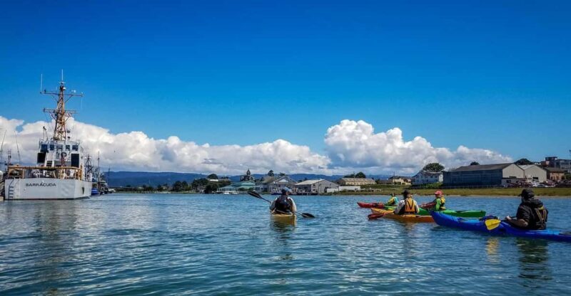 Explore Humboldt Bay by Kayak - An Authentic Look at Humboldt Bay’s Kayak Tour