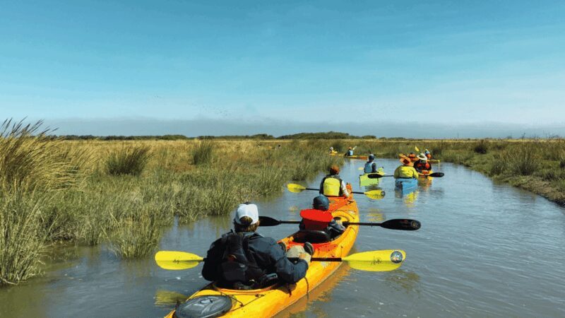 Explore Humboldt Bay by Kayak - FAQs