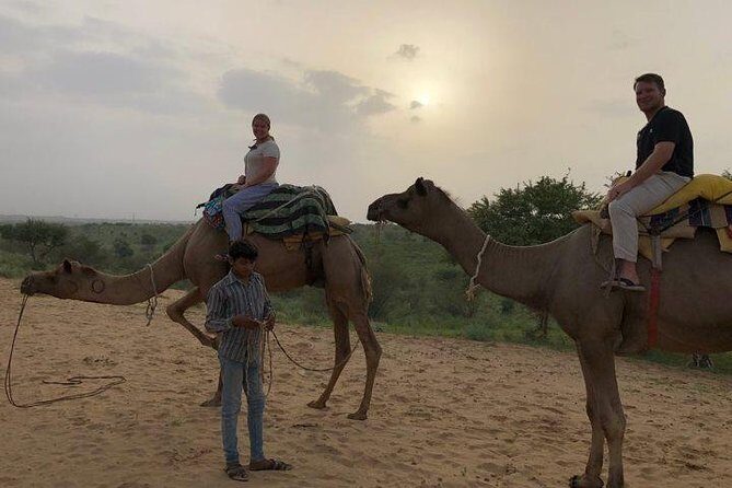 Explore Jaisalmer City Tour With Camel Safari - Key Points