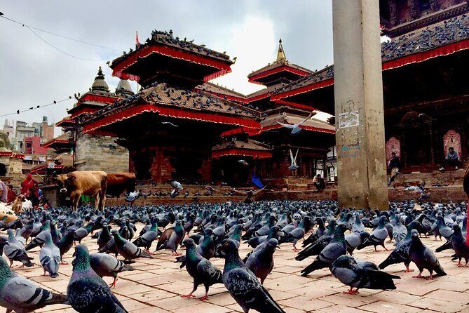 Explore Kathmandu with local guide - Authentic Experiences Gained from Reviews