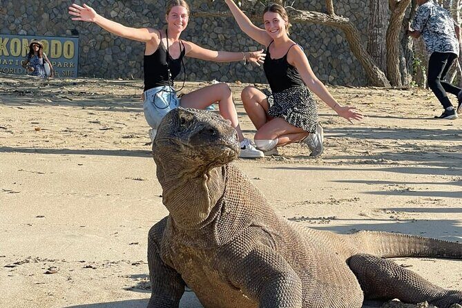 Explore Komodo and Swim with Whale Sharks - Exploring Komodo and Swimming with Whale Sharks: A Deep Dive into a 4-Day Indonesian Adventure
