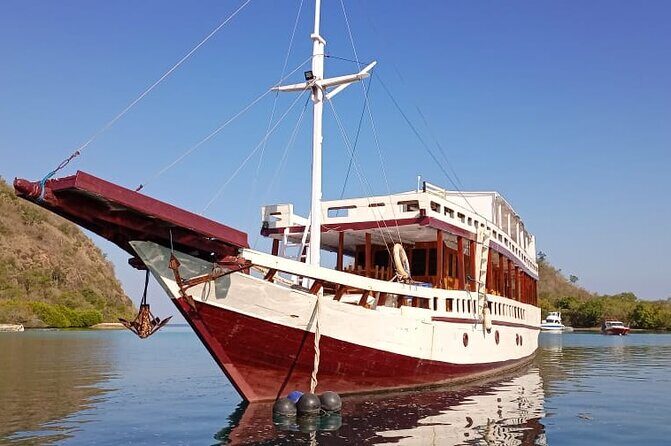 Explore Komodo and Swim with Whale Sharks - The Experience of a Lifetime—With a Few Considerations