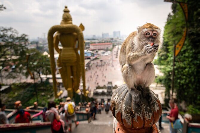 Explore Kuala Lumpur Transit Tour - A Closer Look at the Kuala Lumpur Transit Tour