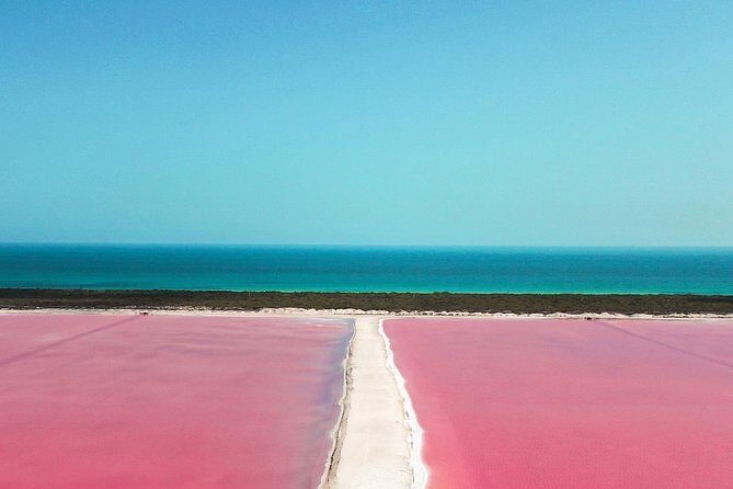 Explore Las Coloradas & Rio Lagartos from Riviera Maya - Authentic Experiences & What Travelers Say