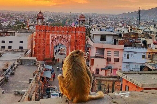 Explore Local Experience Jaipur Sightseeing Tour by Car + Guide - FAQ