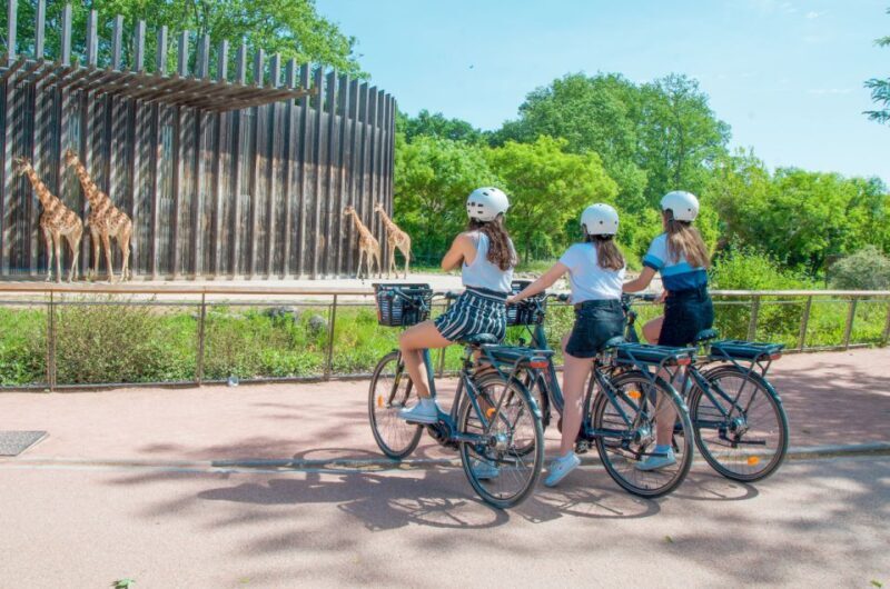 Explore Lyon and famous Tête d'Or Park by electric bike - Who Will Love This Tour?