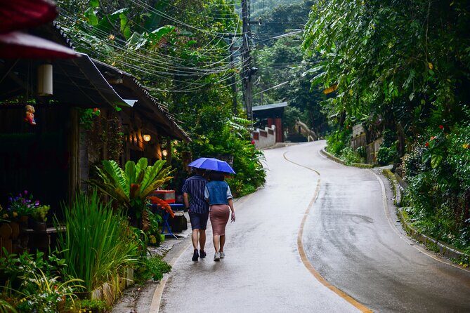 Explore Mae Kampong Village from Chiang Mai City - The Full-Day Mae Kampong Experience: What to Expect