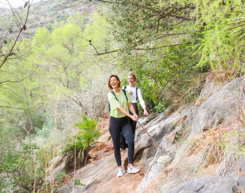 Explore Marbella's Nature: Guided Hiking And Foraging Trip - Who Should Consider This Tour?