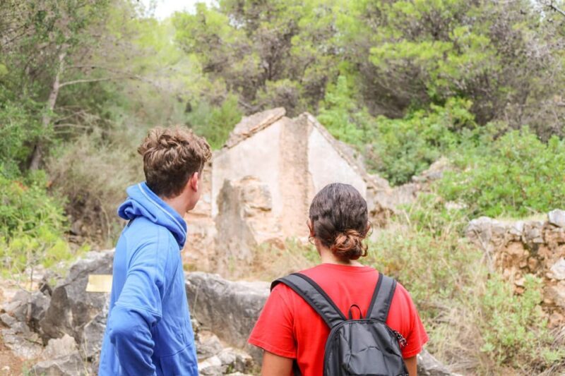 Explore Marbella's Nature: Guided Hiking And Foraging Trip - The Sum Up