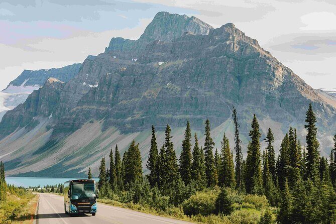 Explore Moraine and Louise Roundtrip from Banff Shared Bus Tour - Transportation and Comfort