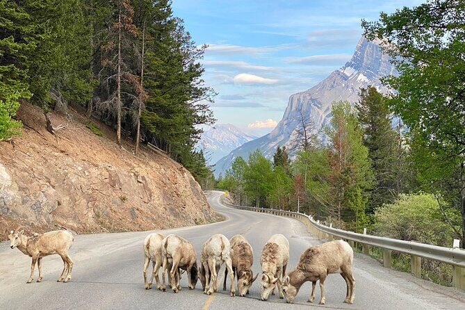 Explore Moraine Lake, Banff, Lake Louise & Minnewanka - What Makes This Tour Stand Out?