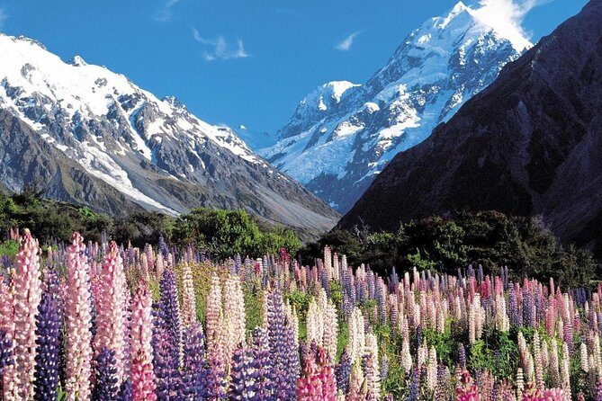 Explore Mount Cook from Christchurch - The Itinerary Breakdown: A Look at what you’ll experience
