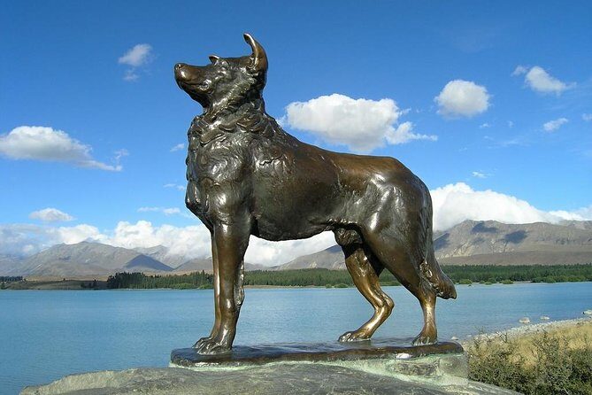 Explore Mount Cook from Christchurch - FAQs