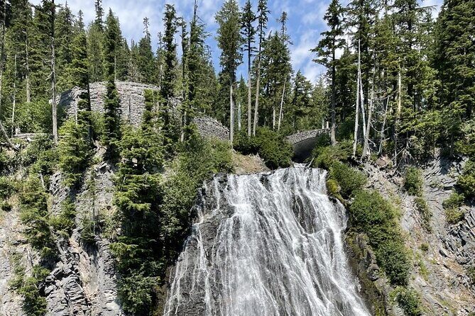 Explore Mt. Rainier National Park with a Local Guide - A Deep Dive into the Experience