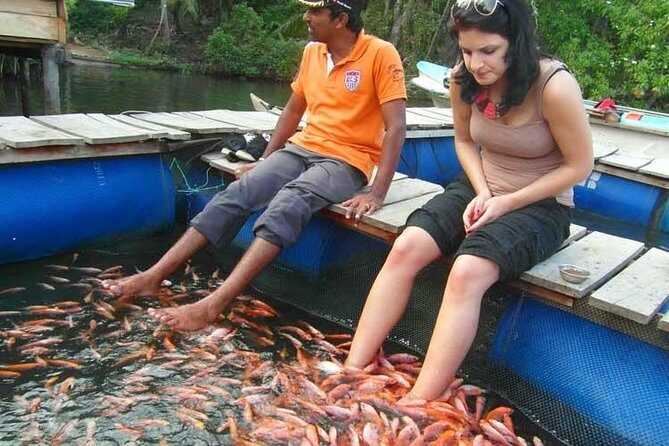 Explore Nature and Heritage in Galle from Colombo (All inclusive day tour) - Why This Tour Works Well