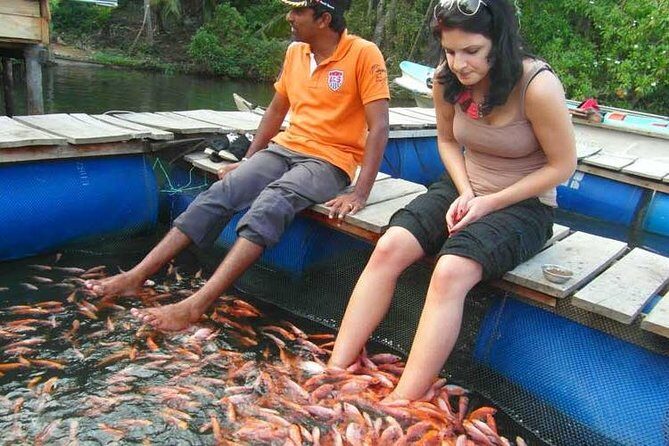Explore Nature and Heritage in Galle from Negombo (All inclusive day tour) - Key Points