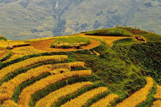 Explore Nature View And Homestay Experience - The Sum Up