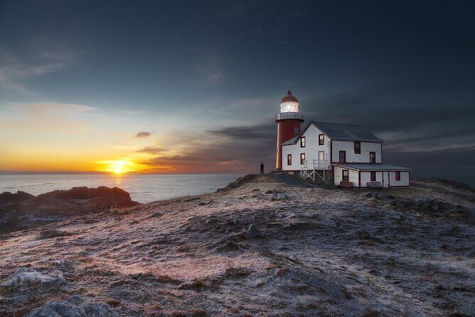 Explore Newfoundland: Audio Driving and Walking Tour Bundle - Who This Tour Is Best For