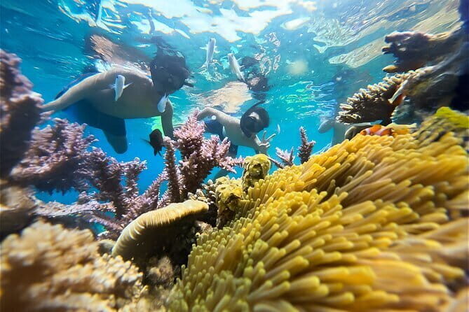 Explore Nha Trang: Snorkeling, Fishing, and BBQ Beach Relaxation - FAQs