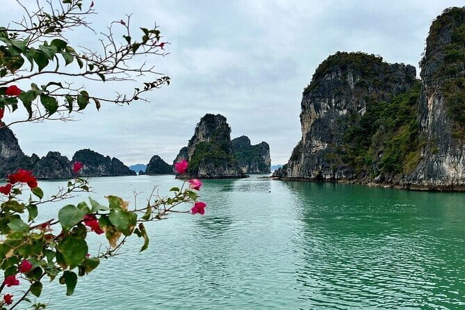 Explore Ninh Binh and Bai Tu Long Bay 2 Days 1 Night Tour - Key Points