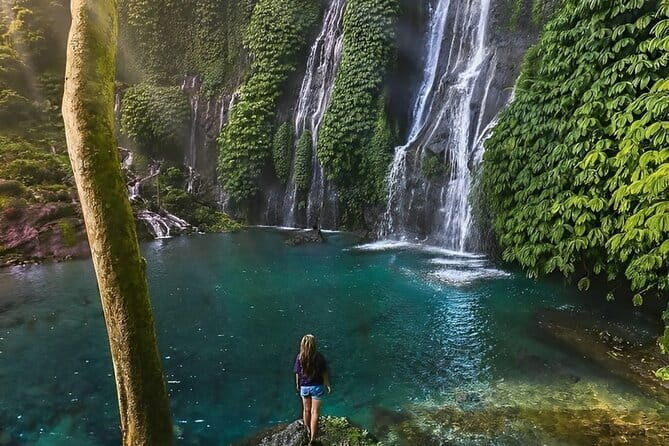 Explore North Bali (Temple, Waterfall, Rice Terrace) - An In-Depth Look at the North Bali Tour