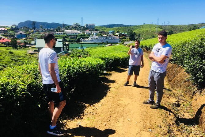 Explore Nuwara Eliya - Waterfall & Tea Factory Tour - Introduction