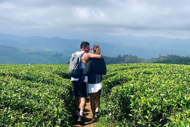 Explore Nuwara Eliya - Waterfall & Tea Factory Tour - The Sum Up