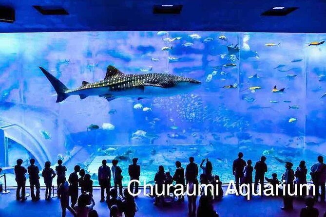 Explore Okinawa with Private Sedan Car Hire Driver - Key Points