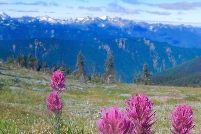 Explore Olympic National Park from Seattle through Van /Ferry - Starting the Day: From Seattle to Bainbridge Island and the Ferry Ride