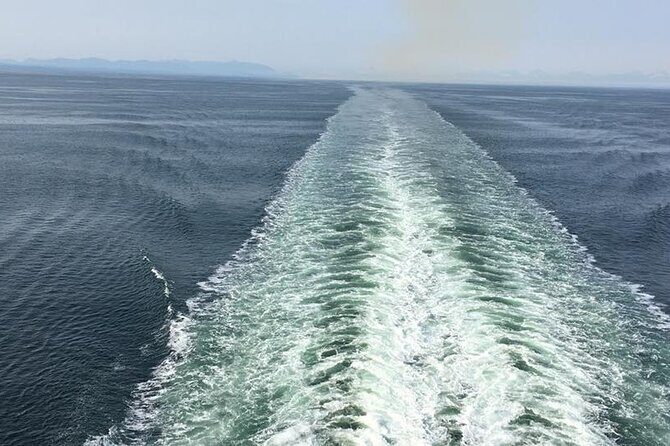 Explore Olympic National Park from Seattle through Van /Ferry - Who Will Love This Tour?