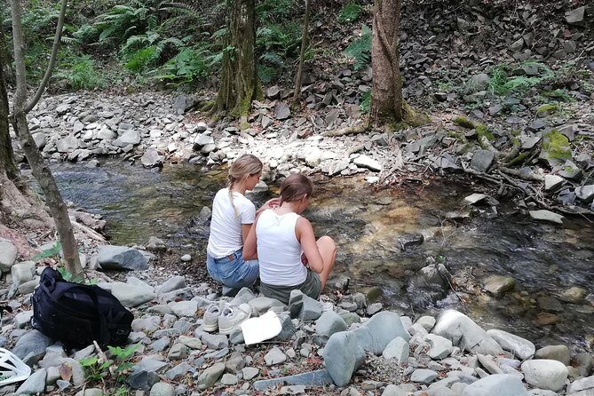 Explore Paphos forest with e-mountain bikes - Logistics and Practicalities