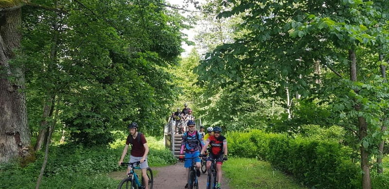 Explore Pavilniai Regional Park on a Mountain Bike - The Sum Up