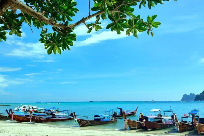 Explore Phi Phi Islands by Ferry  Snorkeling & Lunch Included - The Sum Up