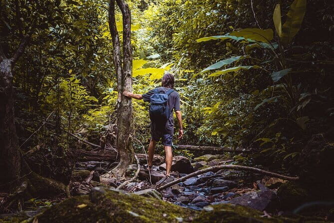 Explore Phuket Landmarks Private Tour with Rainforest Hike - Key Points