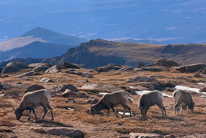 Explore Pikes Peak and Garden of the Gods Full Day Tour - FAQs