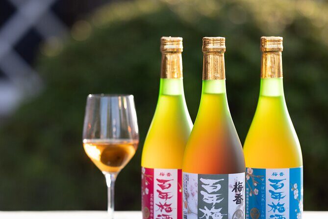 Explore Plum Wine Sake Museum and Japanese Alcohol Tasting - Exploring the Plum Wine Sake Museum and Japanese Alcohol Tasting Experience