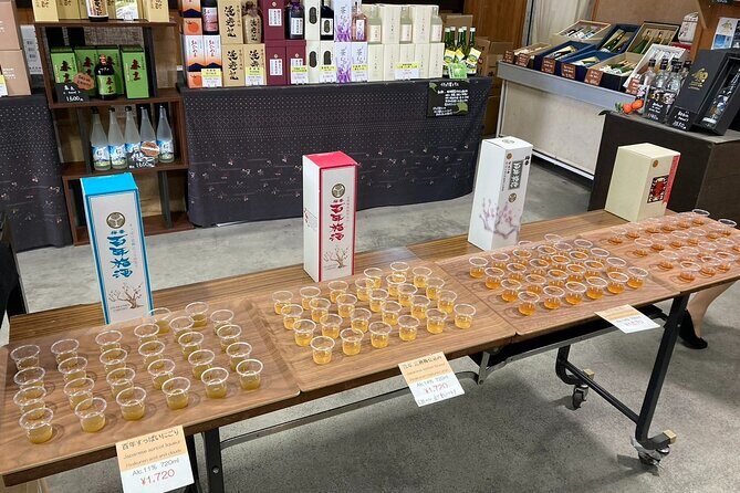 Explore Plum Wine Sake Museum and Japanese Alcohol Tasting - Who Should Consider This Tour?