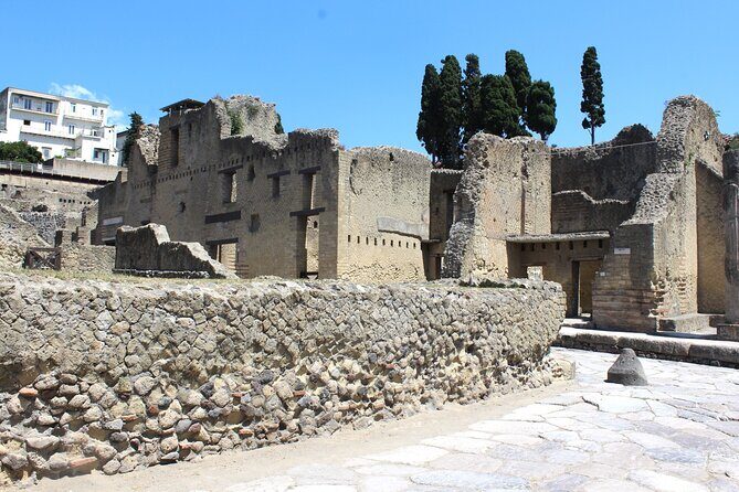 Explore Pompeii & Herculaneum on a Private Guided Tour - Who Will Benefit Most?