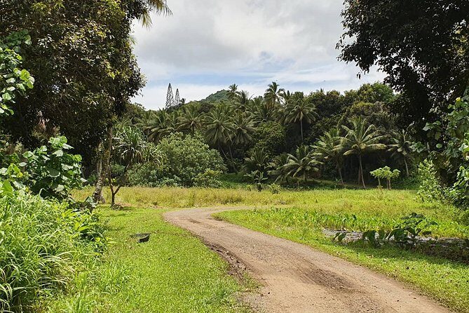 'Explore' Rarotonga Guided Bike Tour with Lunch and Swim - The Guide’s Role: Knowledge Is Power